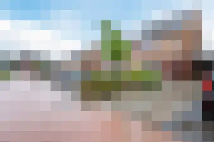 De Hoef 13 Bergeijk thumbnail 25
