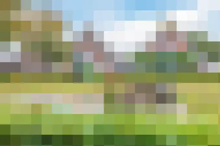 De Hoef 13 Bergeijk thumbnail 27