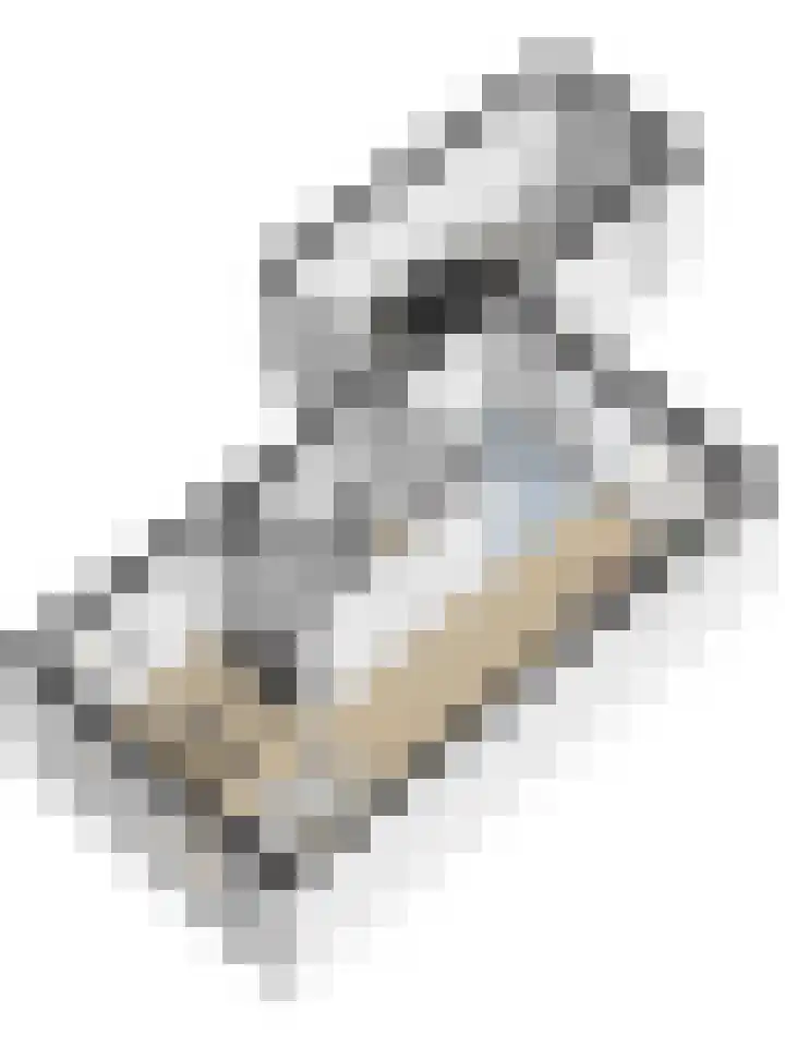 De Hoef 15 Ammerzoden thumbnail 12