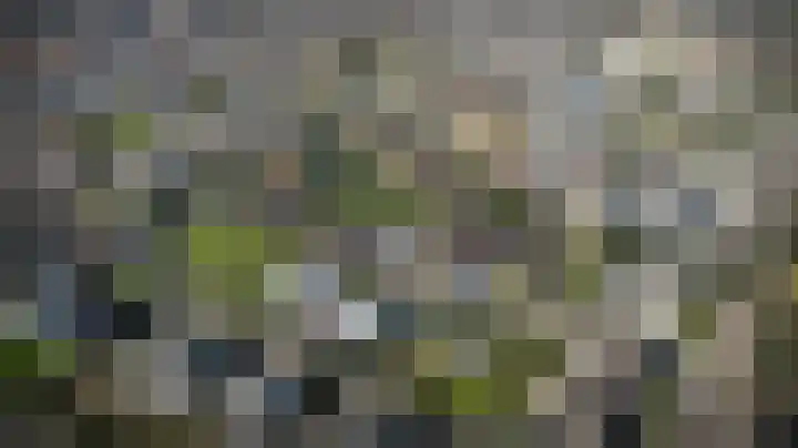De Hoef 15 Ammerzoden thumbnail 8