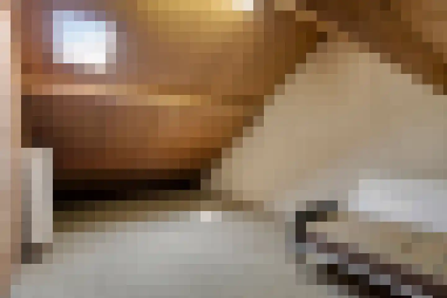 De Hoef 17 Nistelrode thumbnail 34