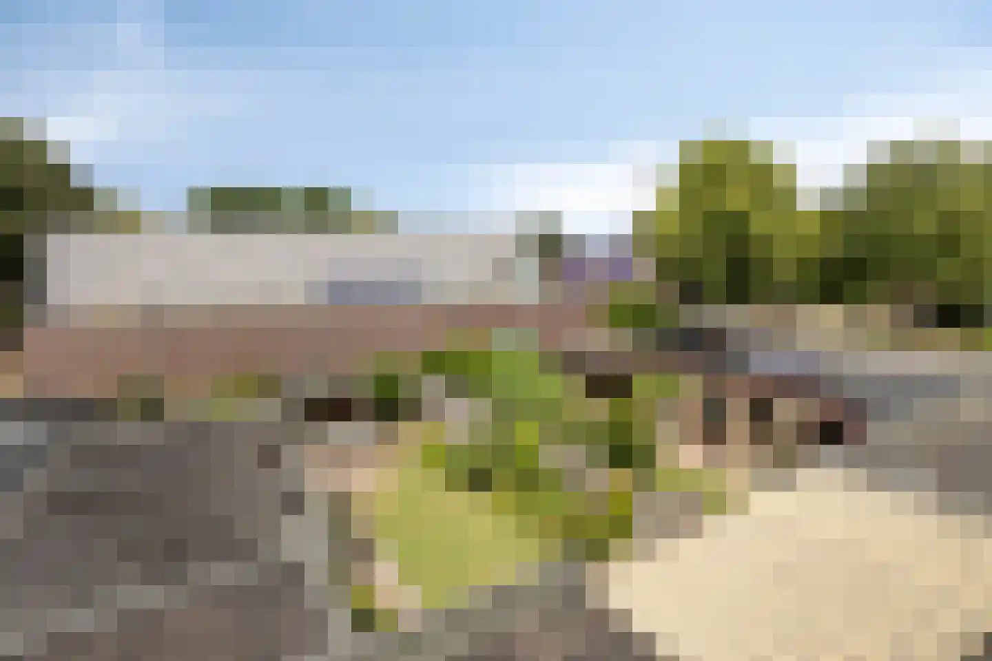 De Hoef 17 Nistelrode thumbnail 43