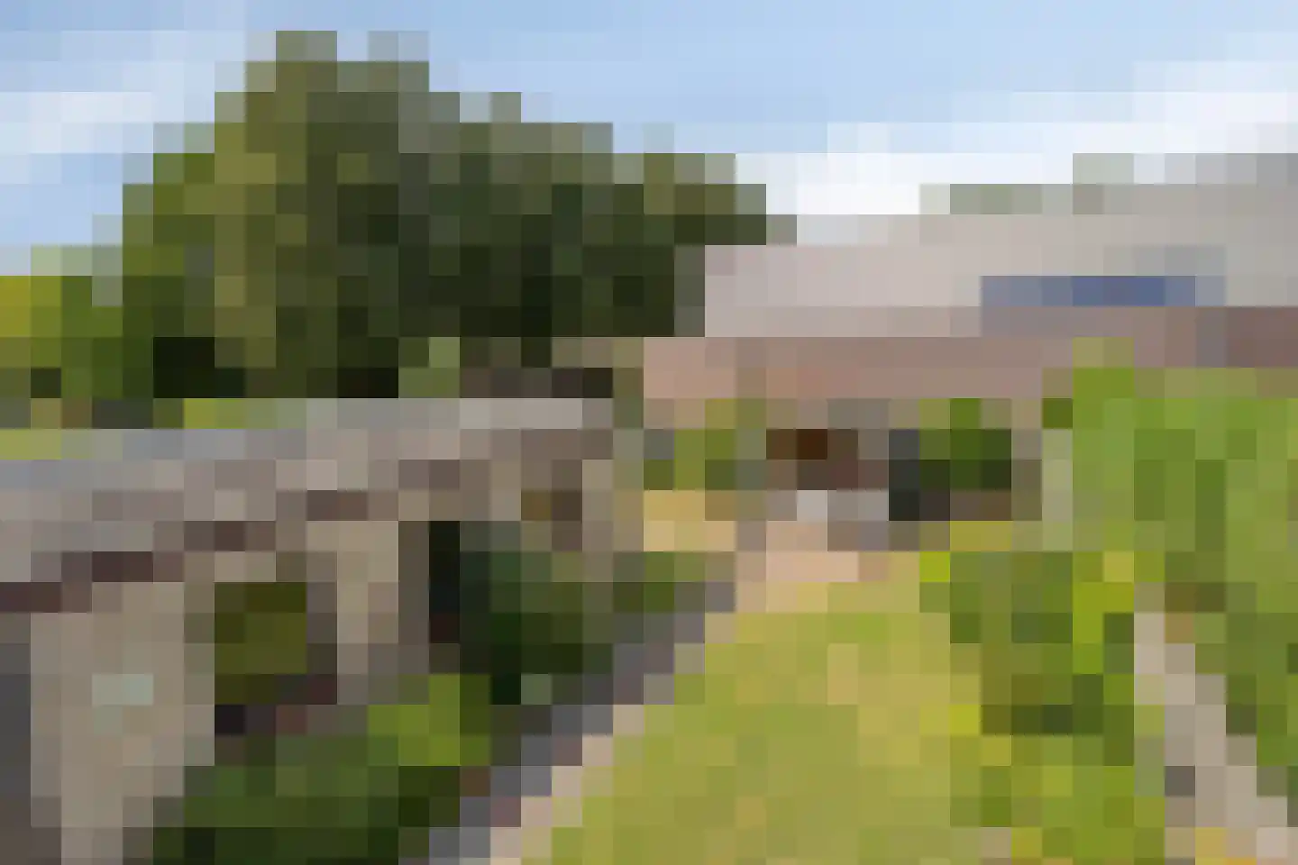 De Hoef 17 Nistelrode thumbnail 45