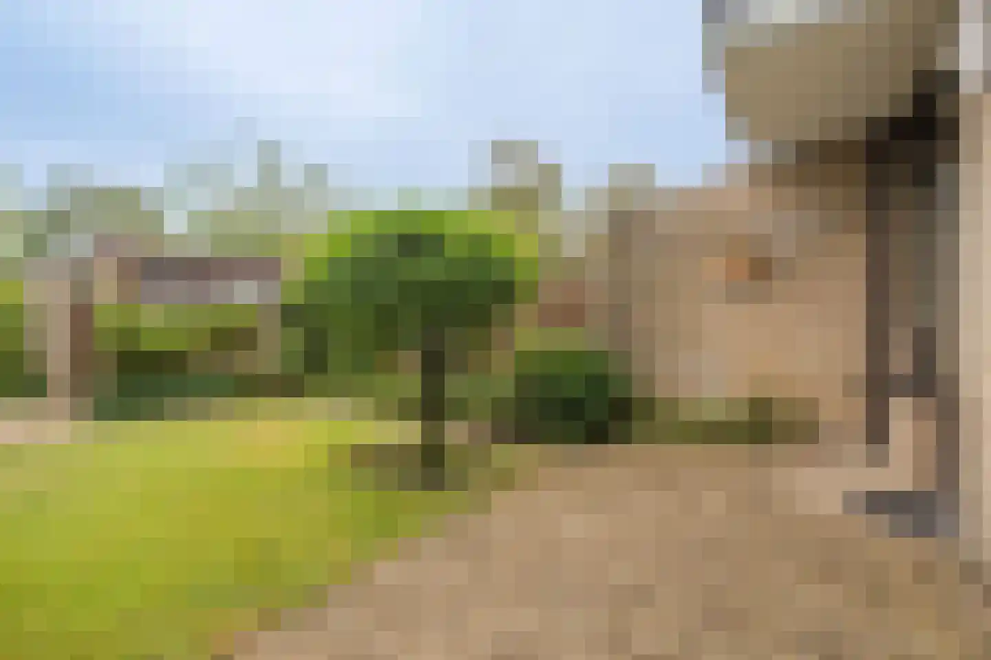 de Hoef 19 Wageningen thumbnail 22