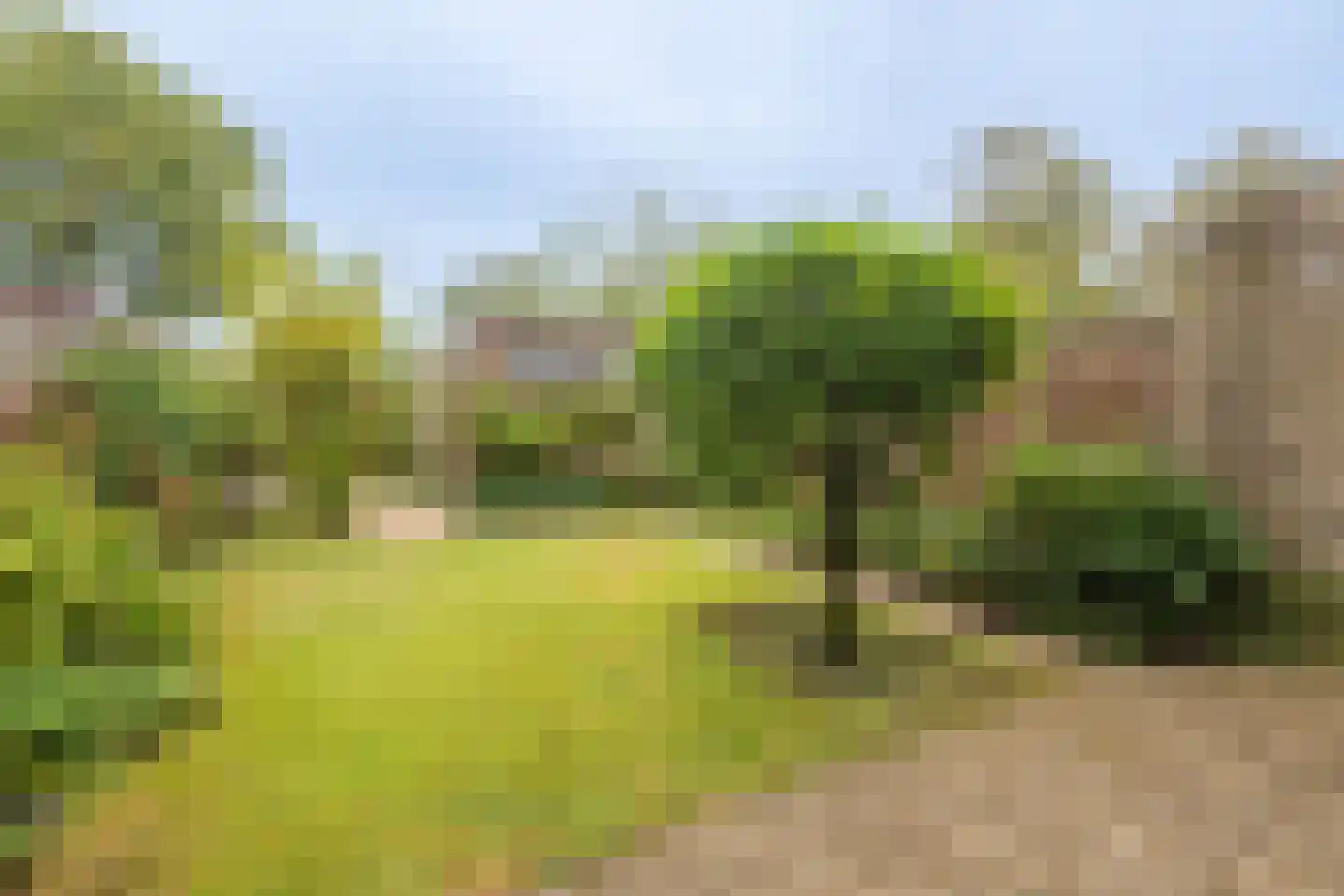 de Hoef 19 Wageningen thumbnail 23
