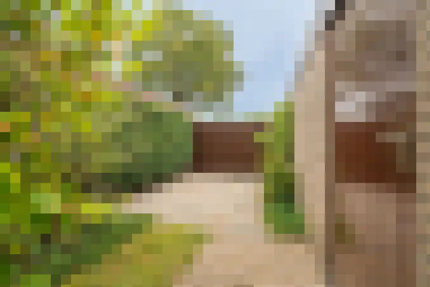 de Hoef 19 Wageningen thumbnail 25