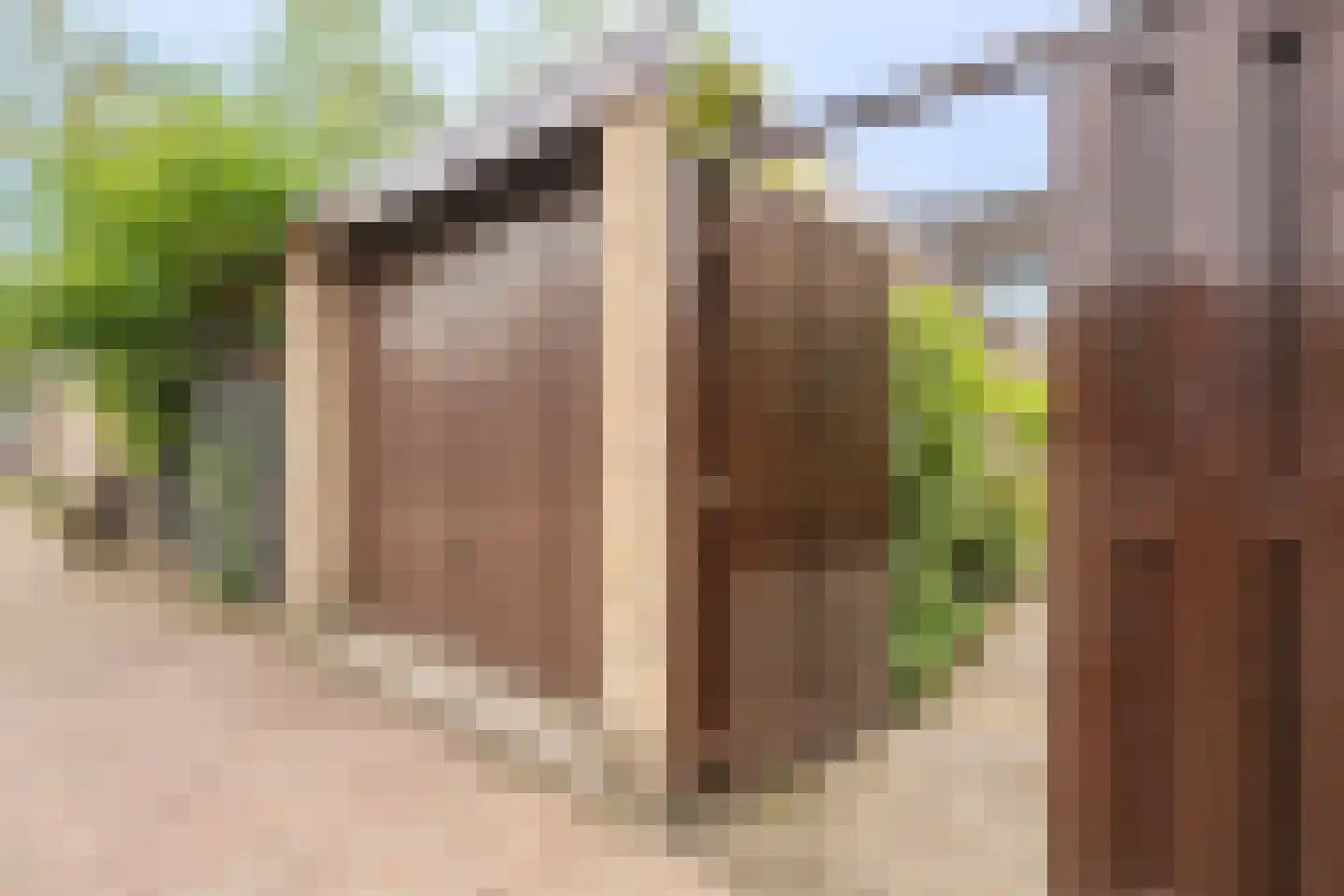 de Hoef 19 Wageningen thumbnail 27