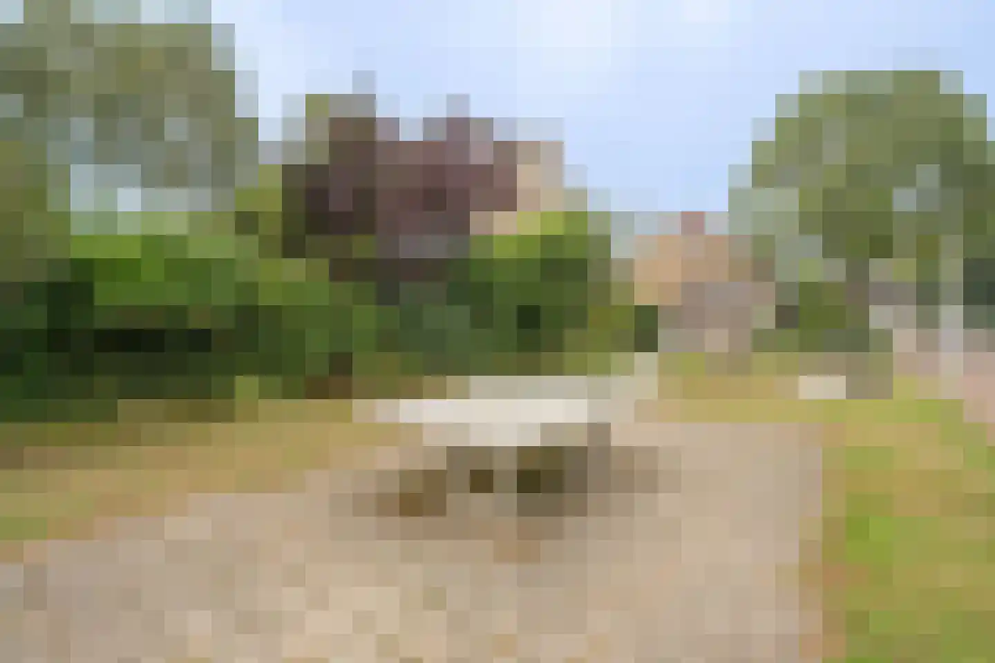 de Hoef 19 Wageningen thumbnail 28