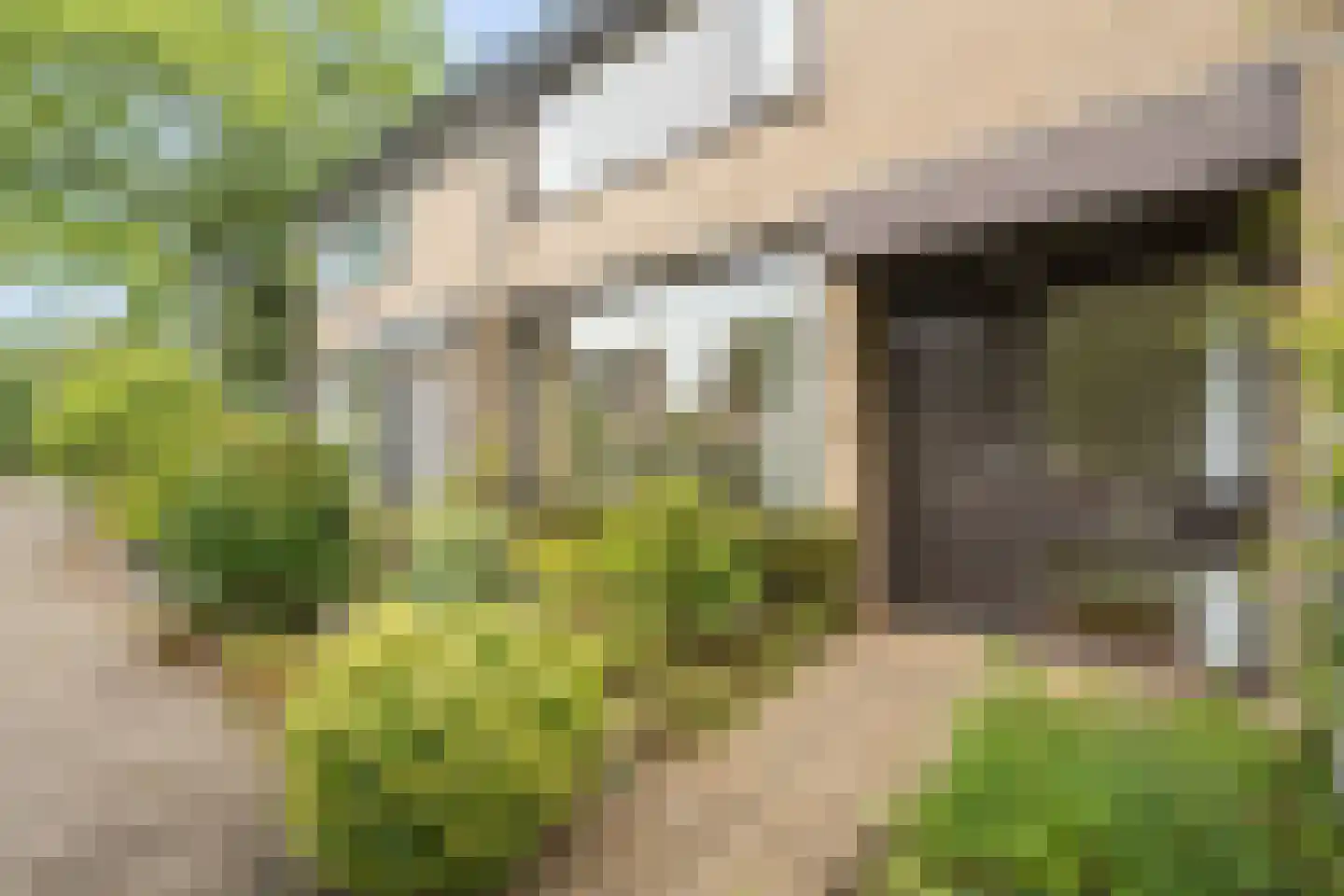de Hoef 19 Wageningen thumbnail 6