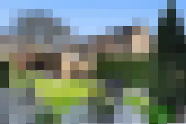 de Hoef 25 Wageningen thumbnail 10