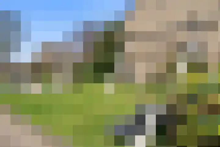 de Hoef 25 Wageningen thumbnail 6