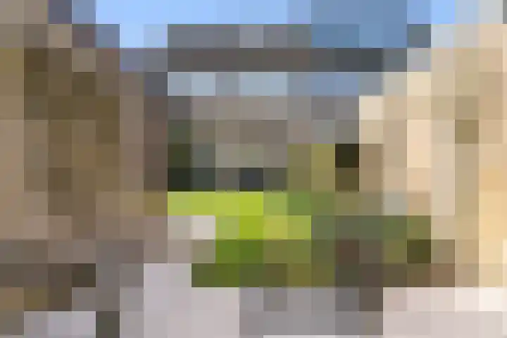de Hoef 25 Wageningen thumbnail 7