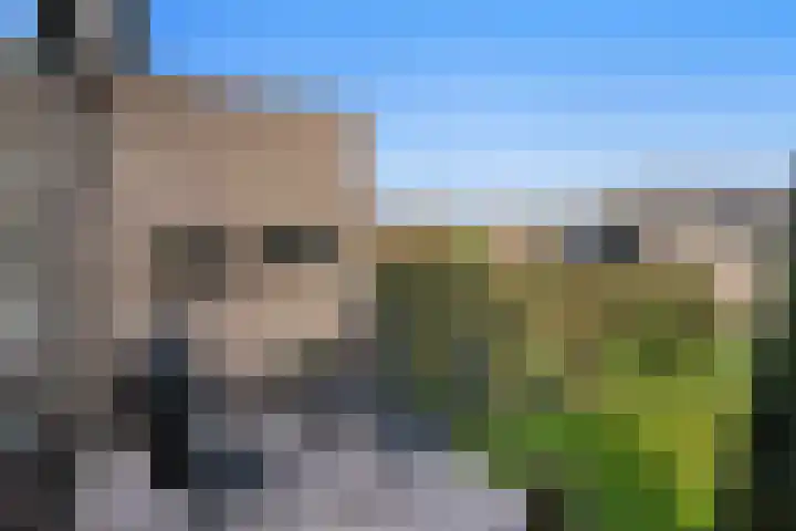 de Hoef 25 Wageningen thumbnail 9