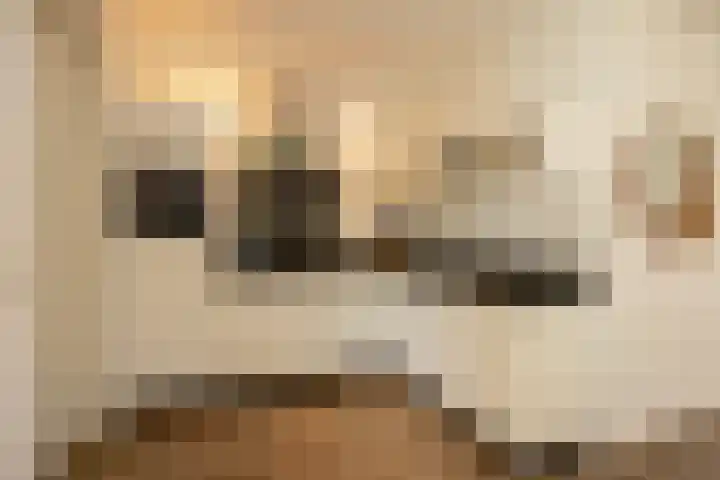 De Hoef 4 Bergeijk thumbnail 10