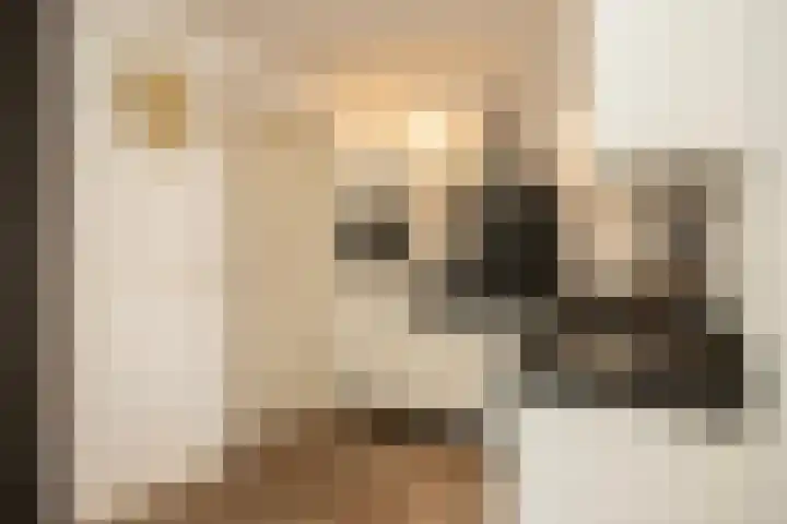 De Hoef 4 Bergeijk thumbnail 11