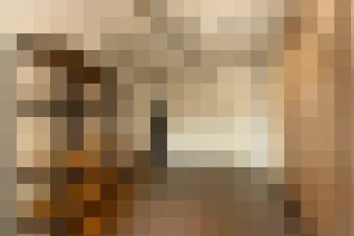 De Hoef 4 Bergeijk thumbnail 13