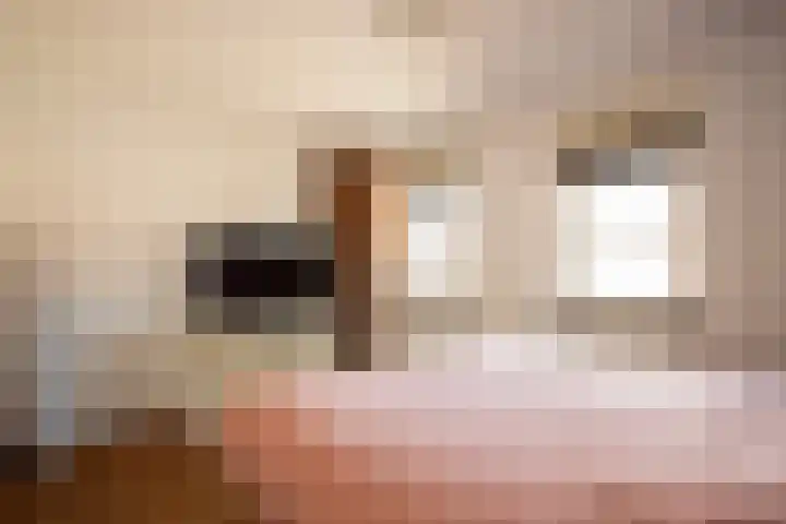 De Hoef 4 Bergeijk thumbnail 16