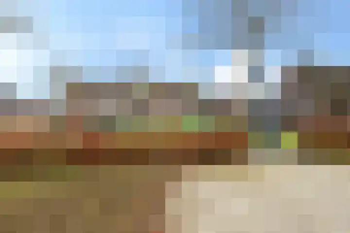 De Hoef 4 Bergeijk thumbnail 28