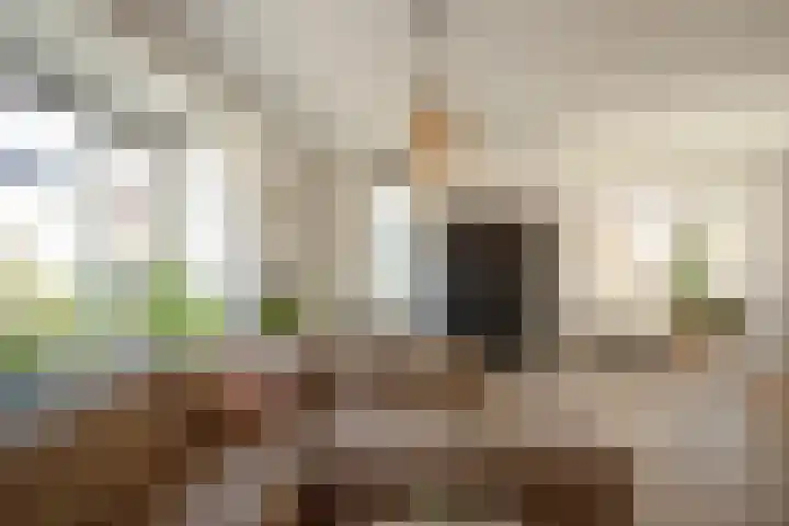 De Hoef 4 Bergeijk thumbnail 5