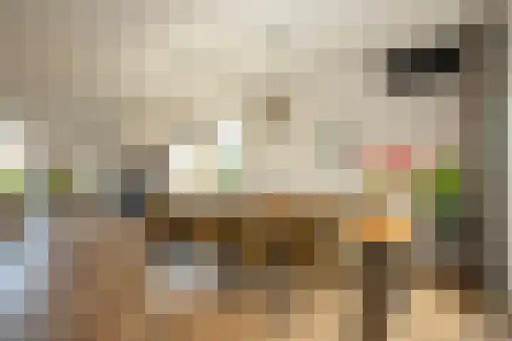 De Hoef 4 Bergeijk thumbnail 9