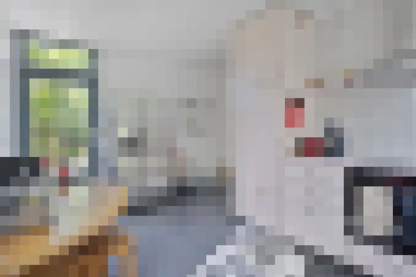 De Hoef 5 Heerjansdam thumbnail 11
