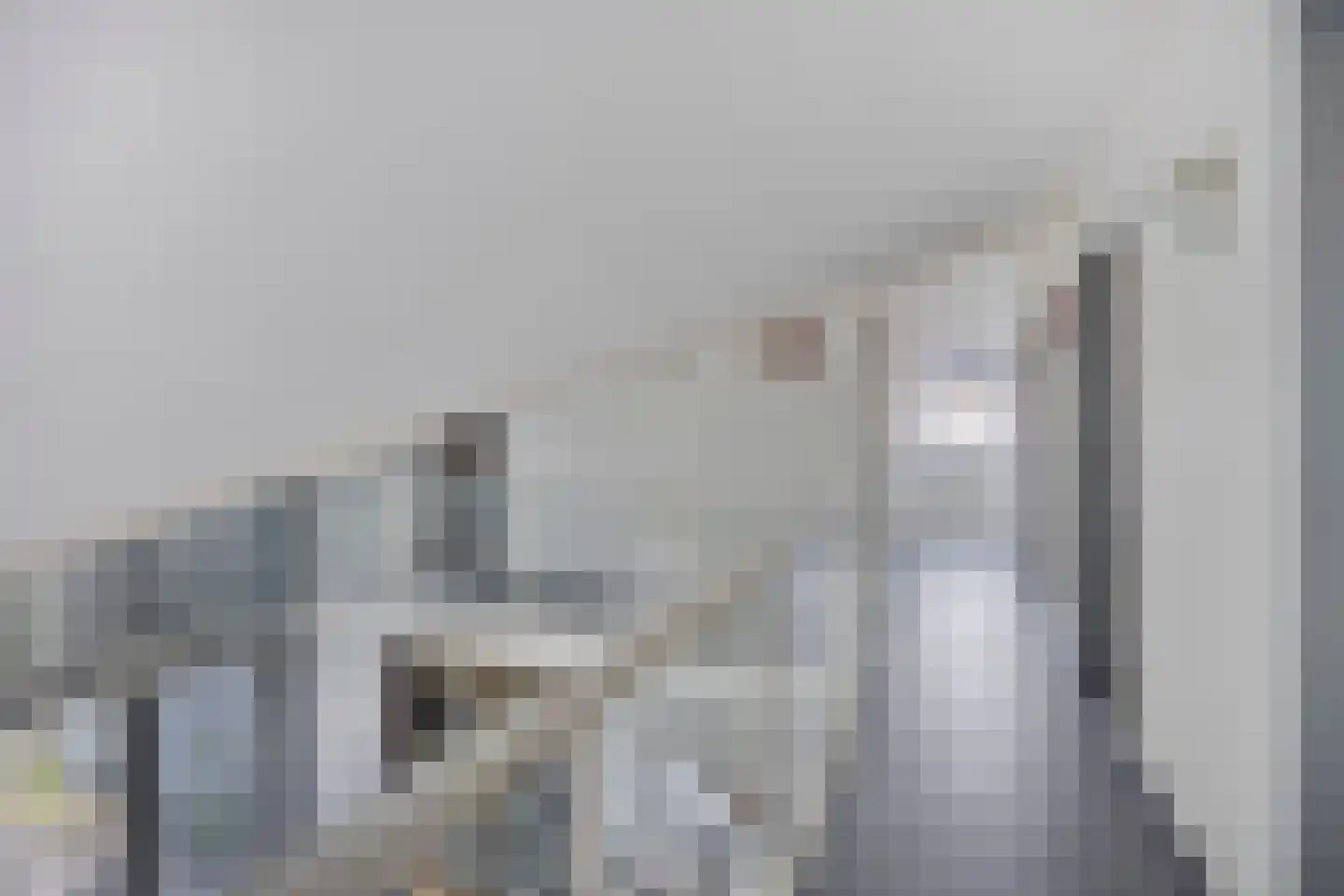 De Hoef 5 Heerjansdam thumbnail 15