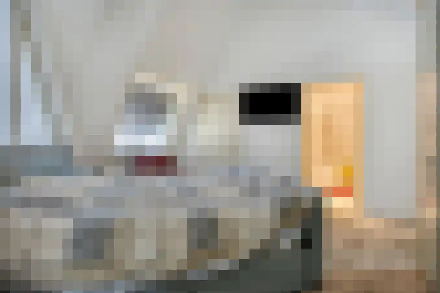 De Hoef 5 Heerjansdam thumbnail 24