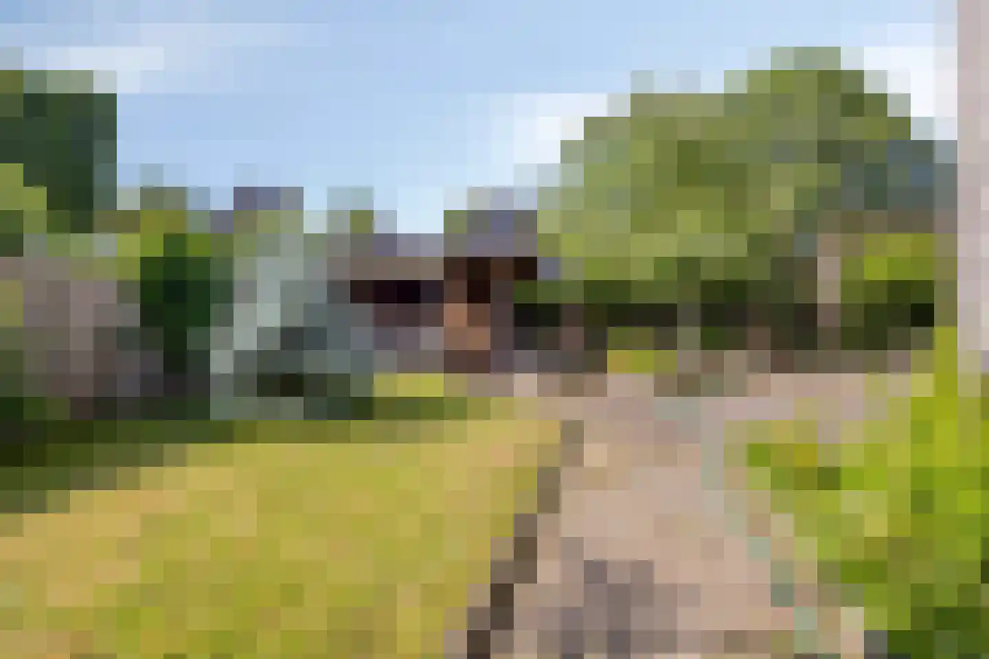 De Hoef 5 Heerjansdam thumbnail 33