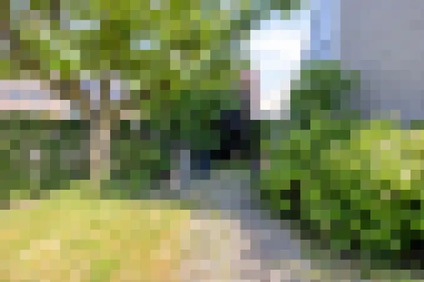 De Hoef 5 Heerjansdam thumbnail 38