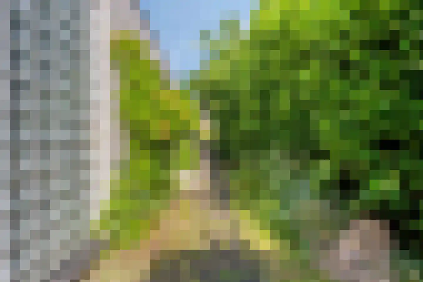 De Hoef 5 Heerjansdam thumbnail 39