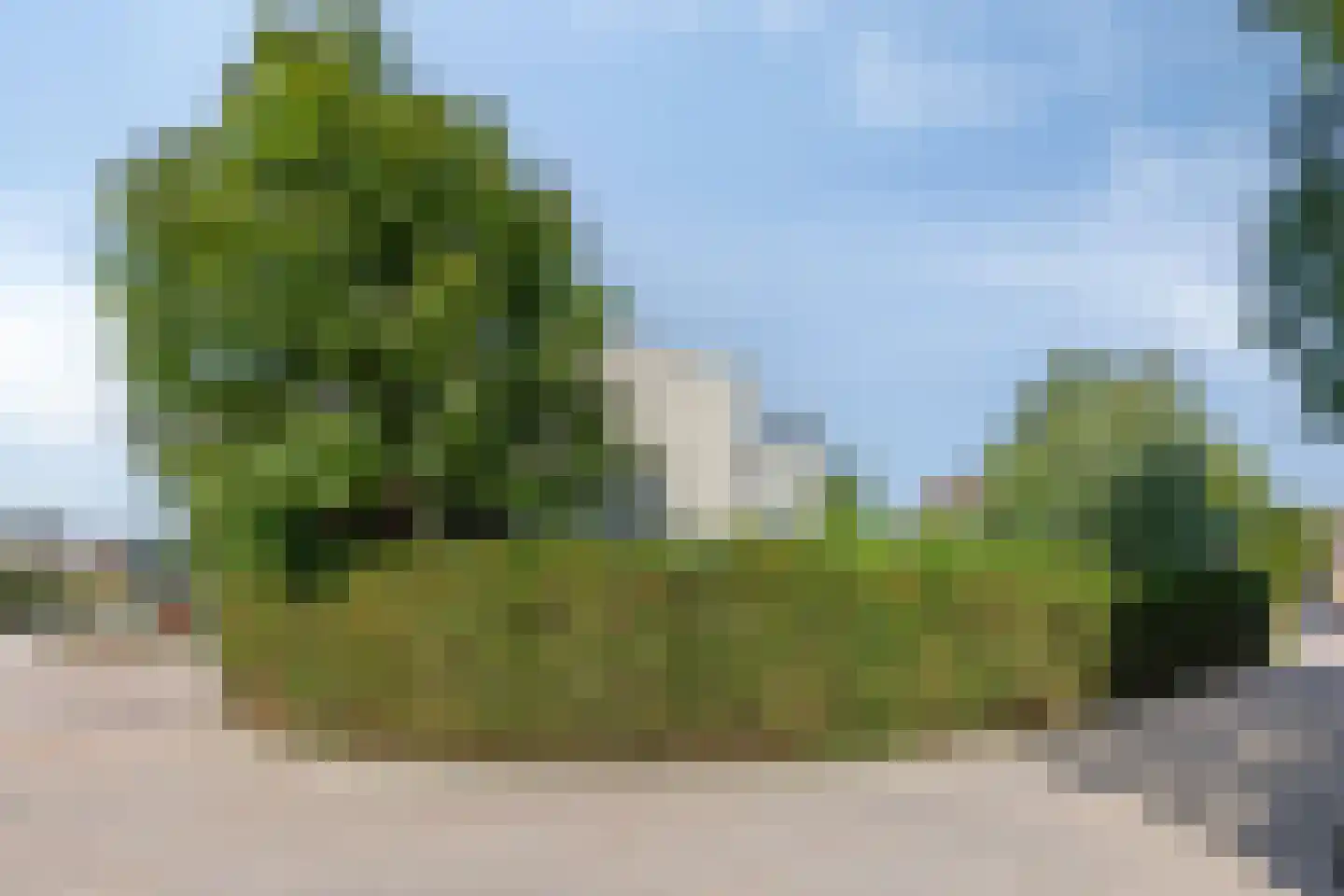 De Hoef 5 Heerjansdam thumbnail 40