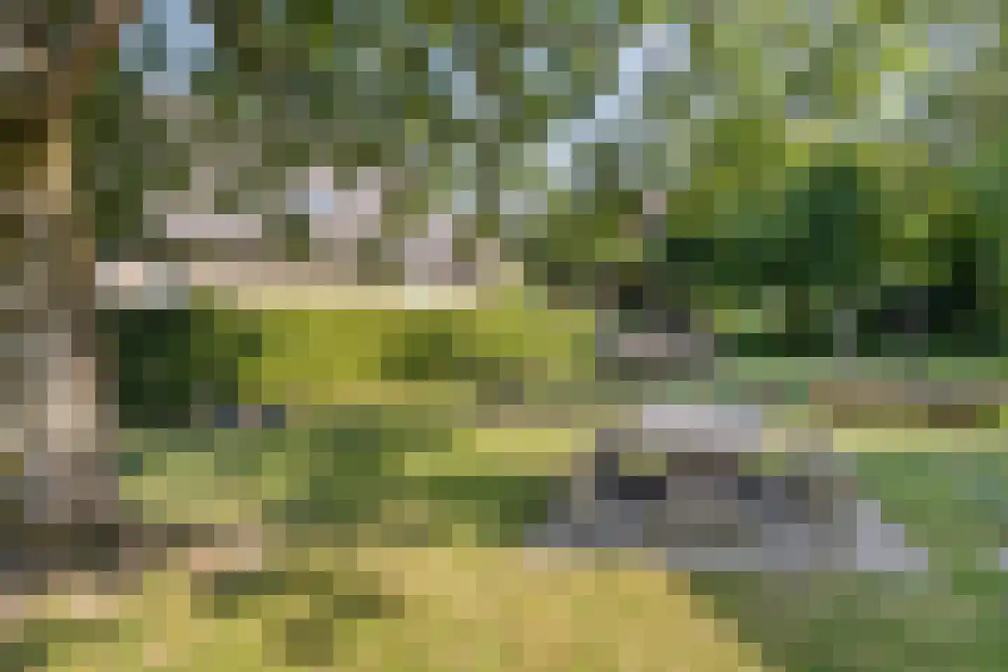 De Hoef 5 Heerjansdam thumbnail 43