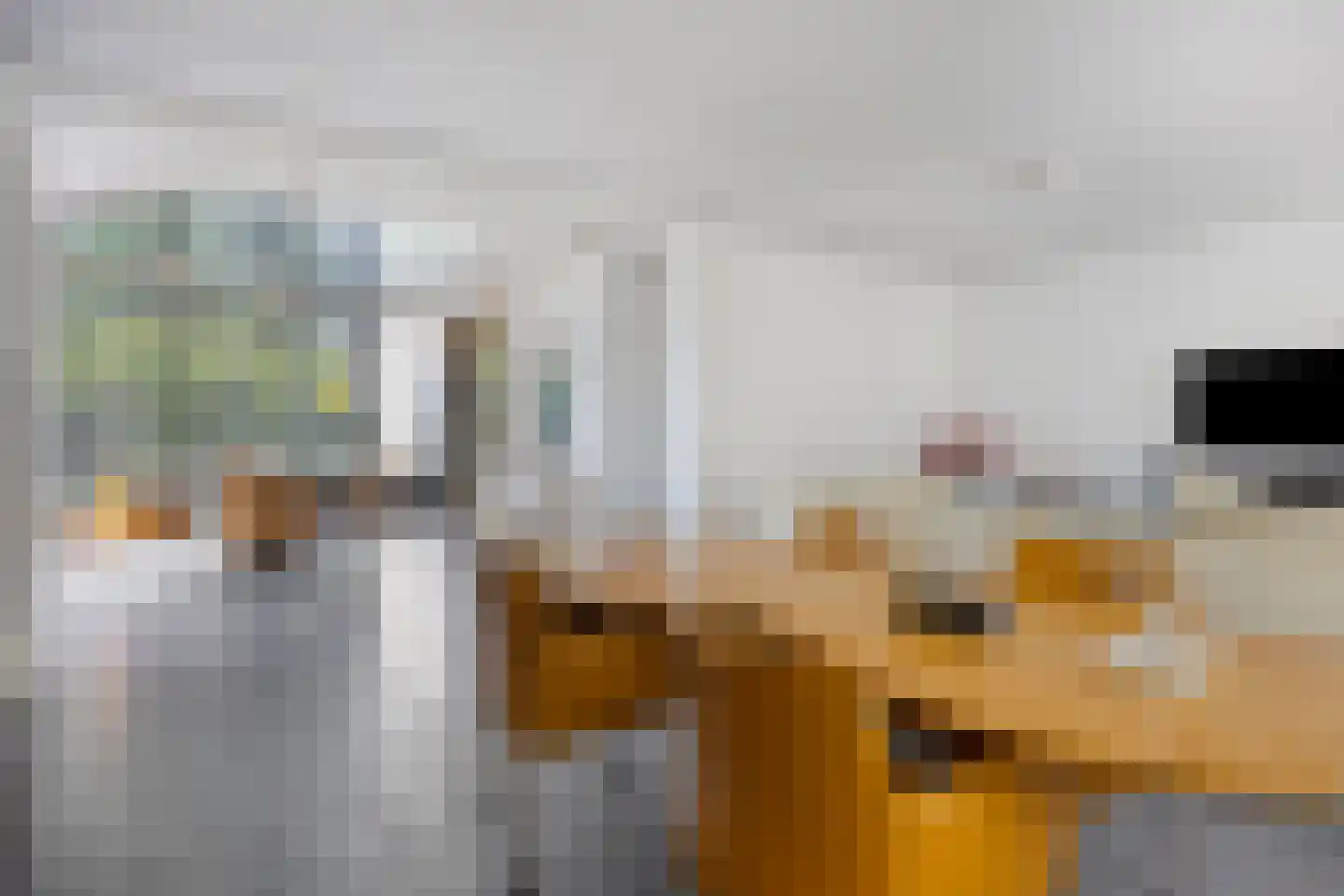 De Hoef 5 Heerjansdam thumbnail 8