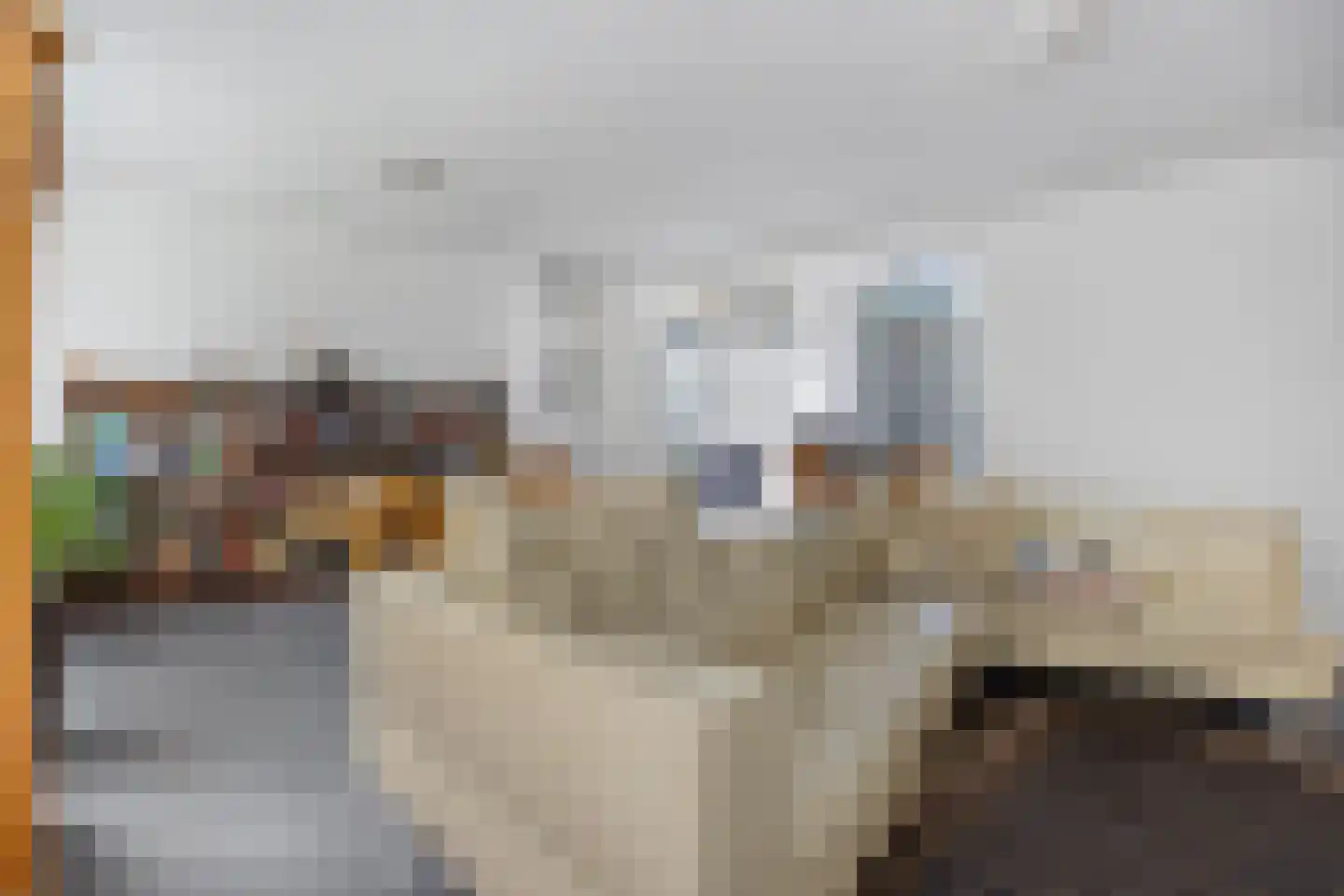 De Hoef 5 Heerjansdam thumbnail 9