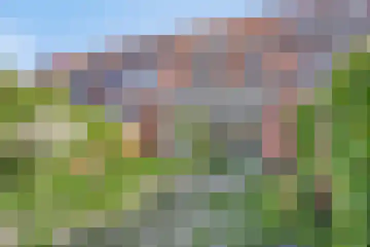 De Hoef 51 Malden thumbnail 29
