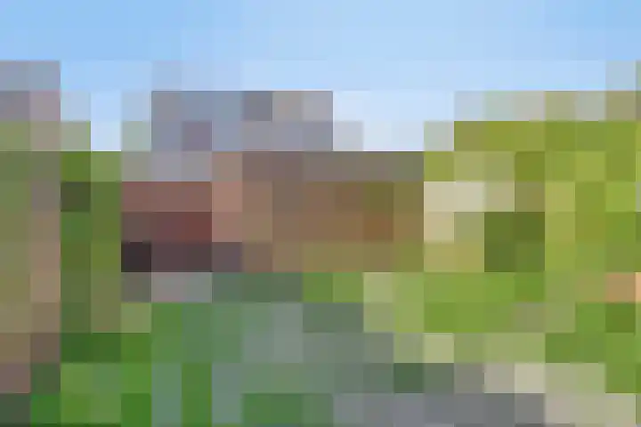 De Hoef 51 Malden thumbnail 31