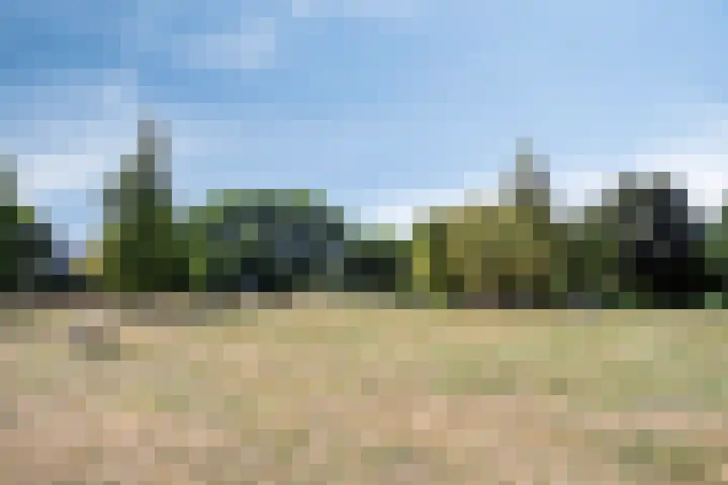 De Hoef 528 Rosmalen thumbnail 26