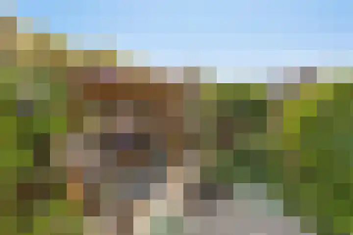 De Hoef 53 Malden thumbnail 27