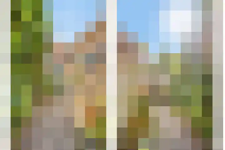 De Hoef 53 Malden thumbnail 29