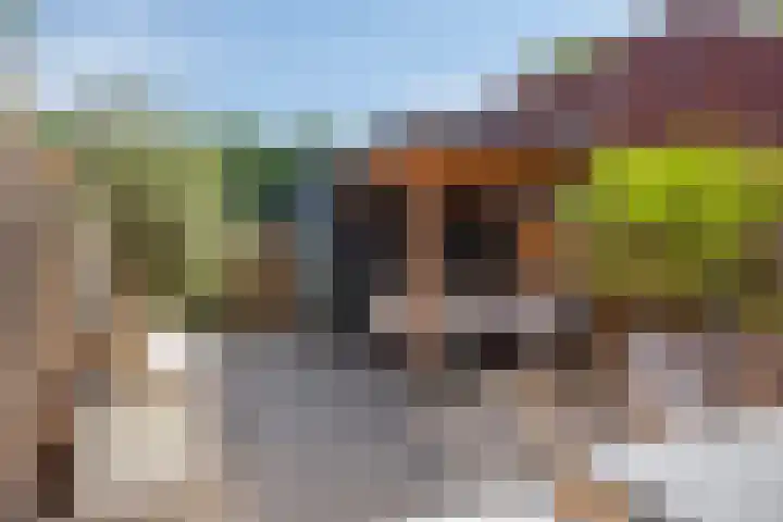 De Hoef 538 Rosmalen thumbnail 13