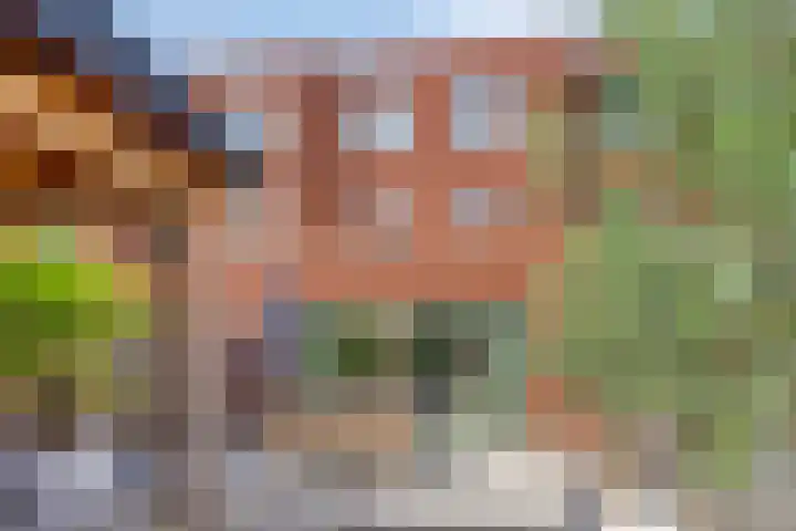 De Hoef 538 Rosmalen thumbnail 15