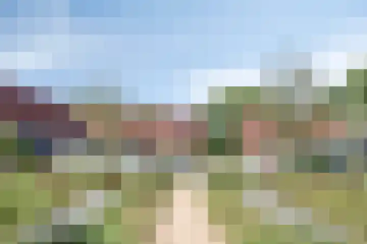 De Hoef 538 Rosmalen thumbnail 30