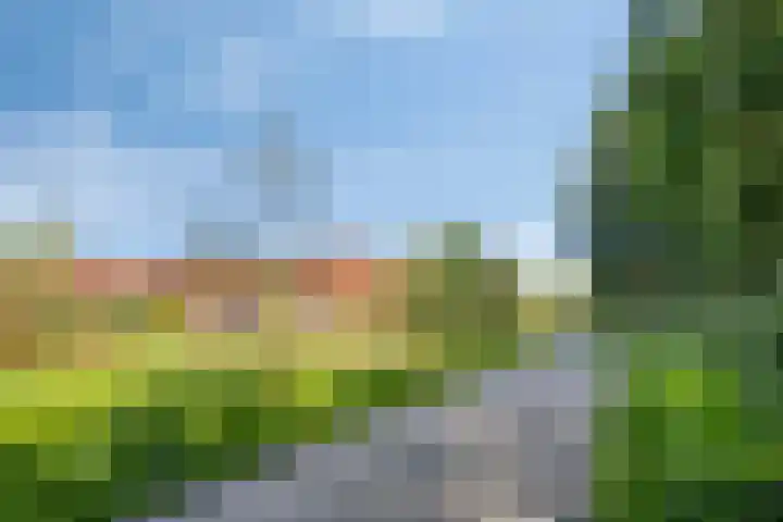 De Hoef 538 Rosmalen thumbnail 31