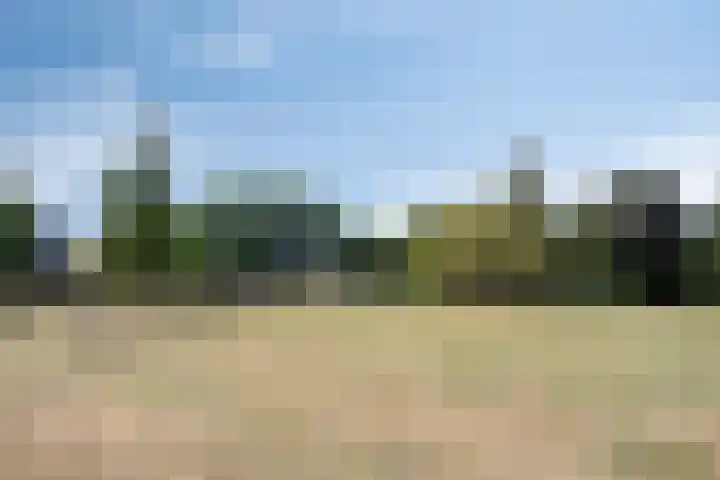 De Hoef 538 Rosmalen thumbnail 32