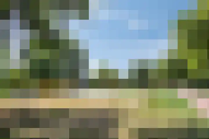 De Hoef 538 Rosmalen thumbnail 33