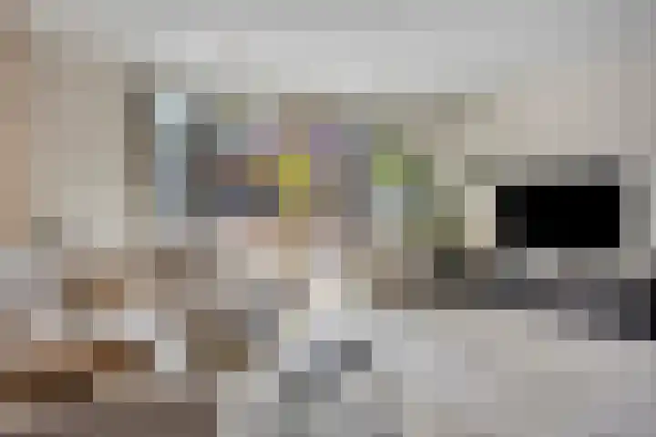 De Hoef 538 Rosmalen thumbnail 4