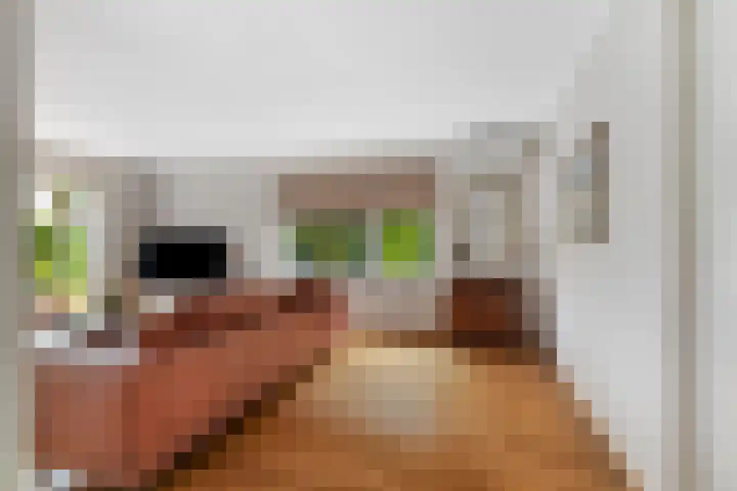 De Hoef 68 Malden thumbnail 16