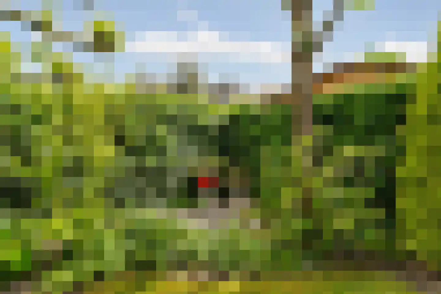De Hoef 68 Malden thumbnail 64