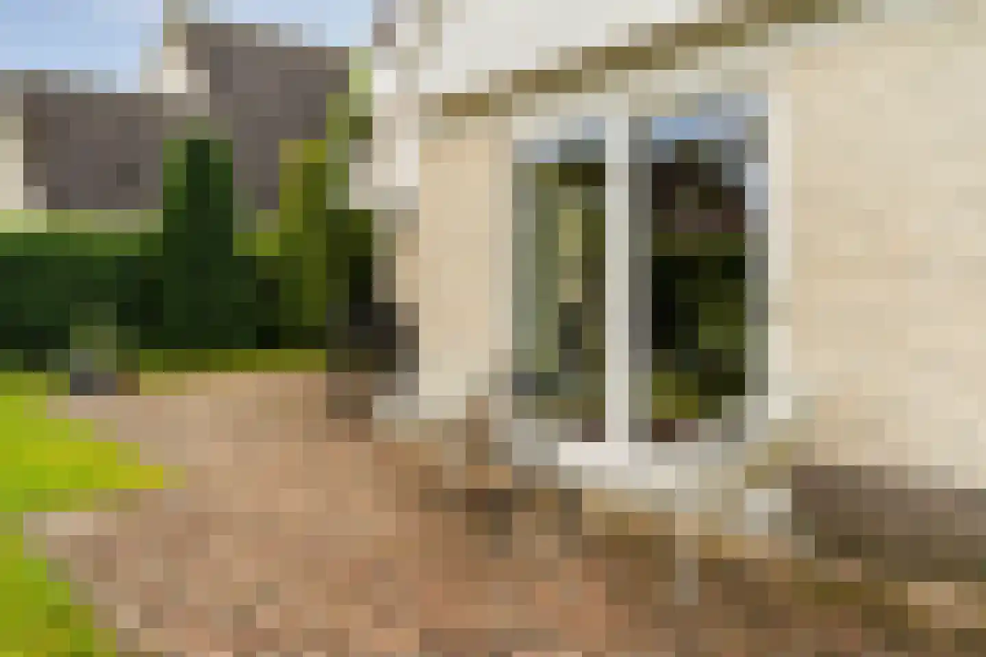 De Hoef 68 Malden thumbnail 67