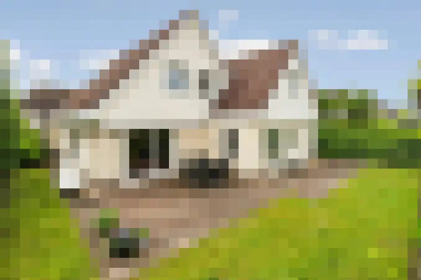De Hoef 68 Malden thumbnail 69